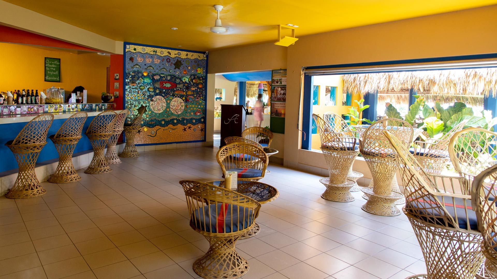 Alma Del Pacifico image 12627