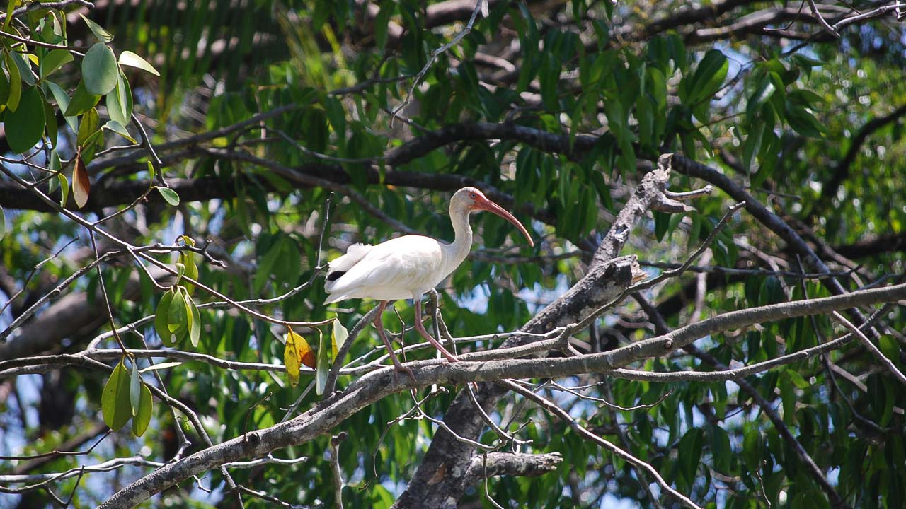 Cielo Lodge image 12650