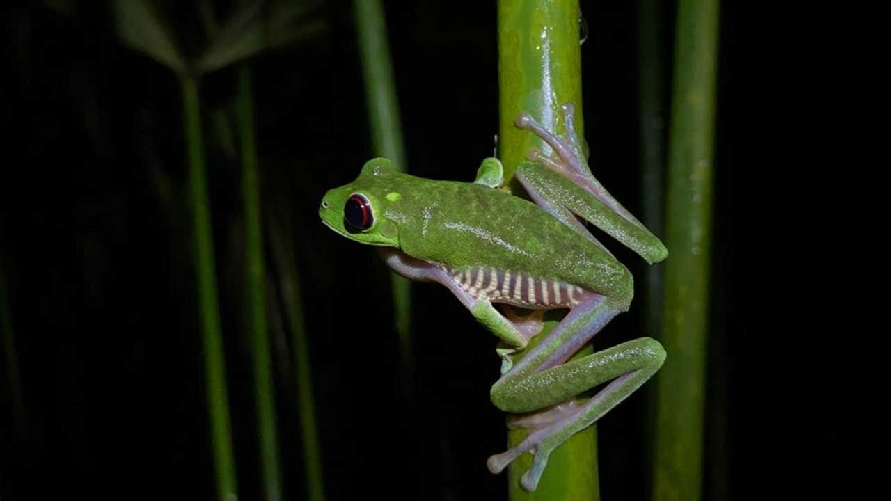 Cielo Lodge image 12646