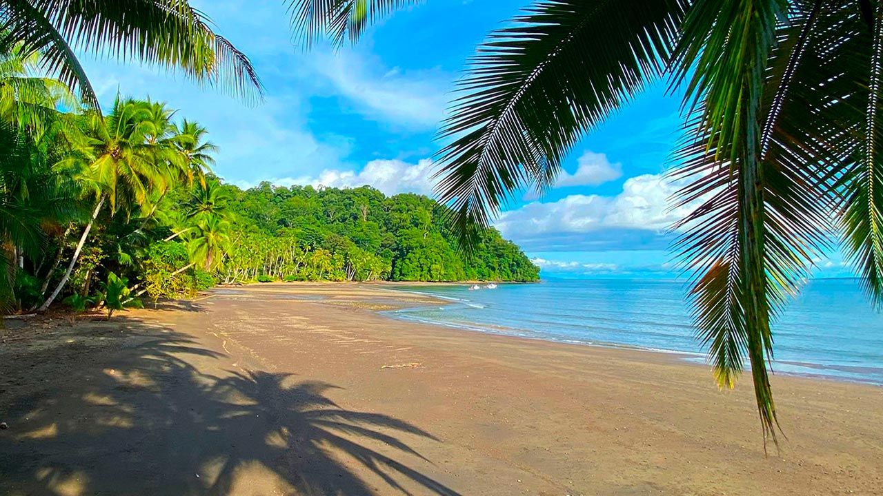 Playa Cativo Lodge image 12670