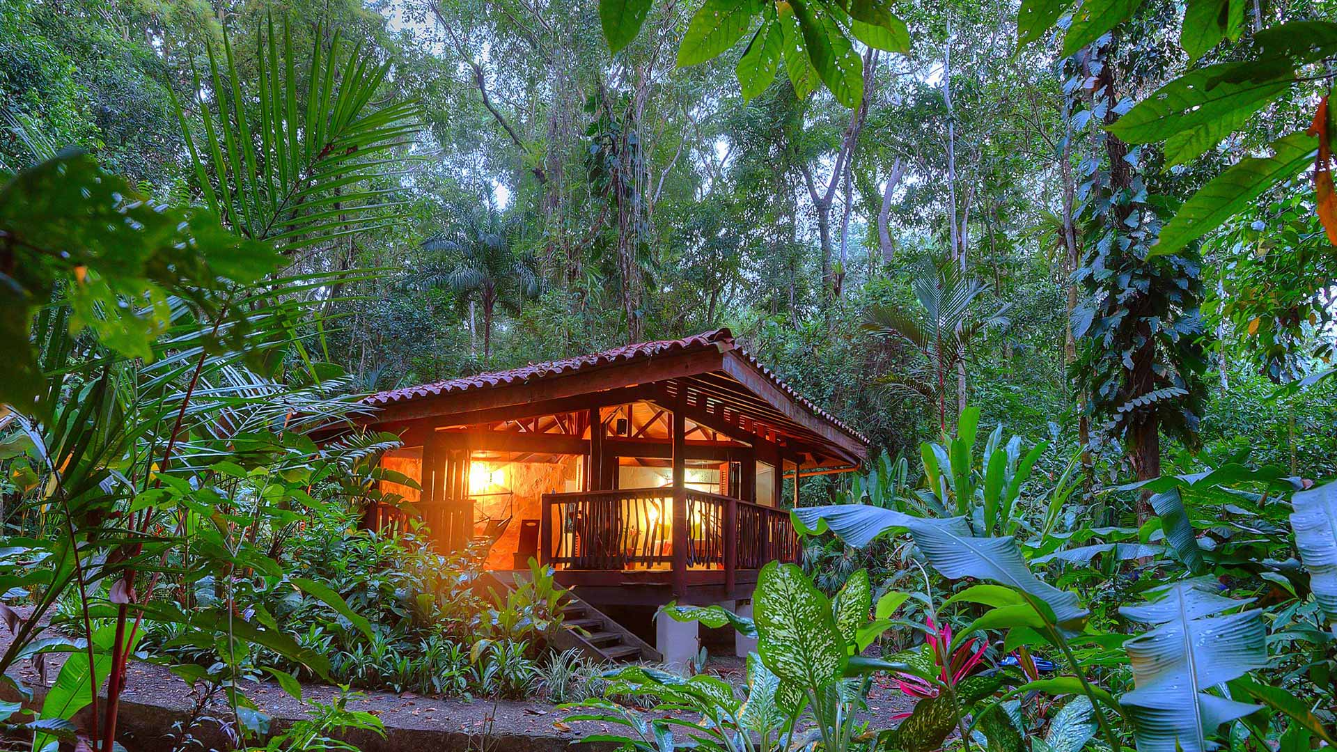 Playa Nicuesa Rainforest Lodge image 12678