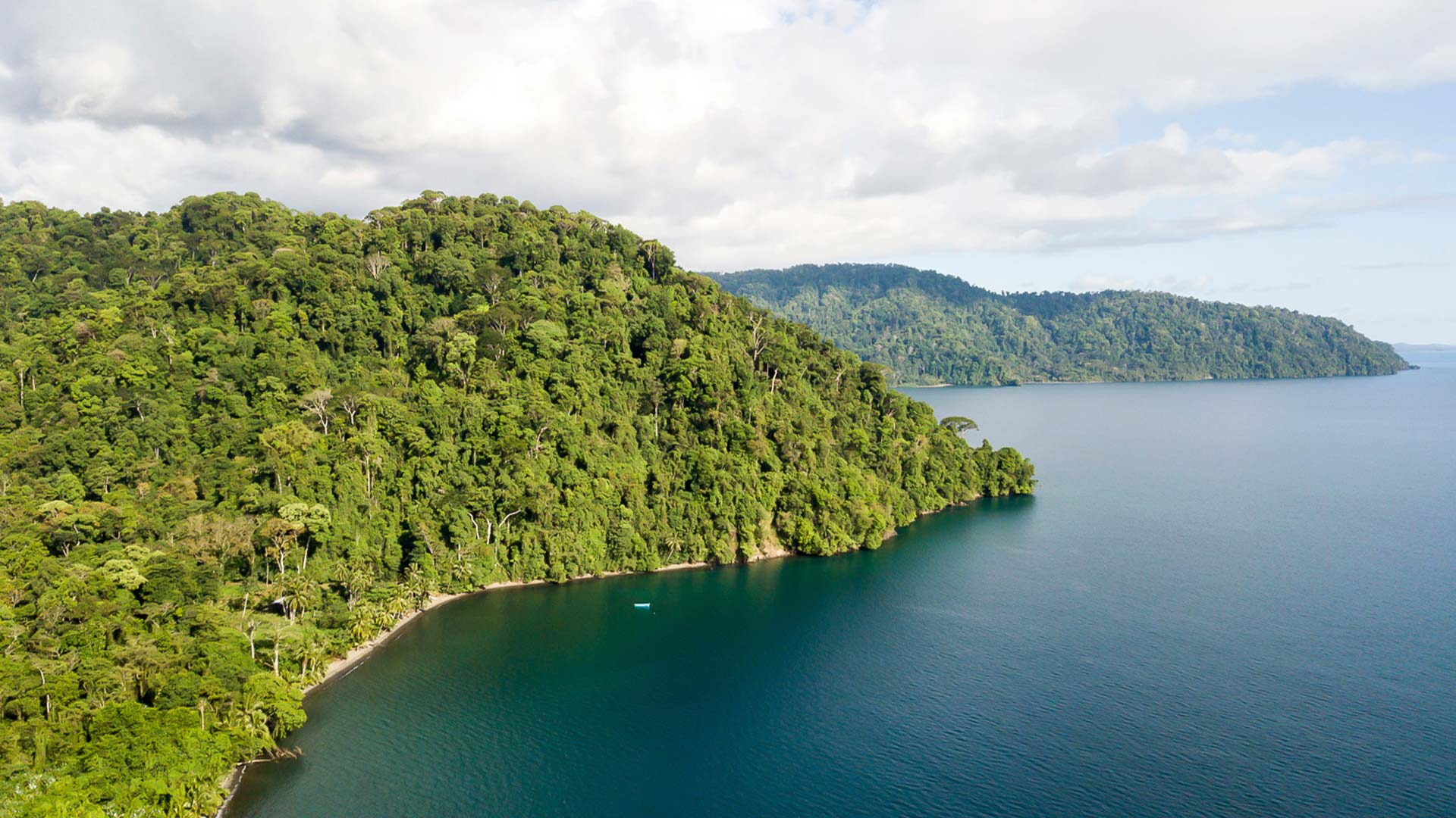 Playa Nicuesa Rainforest Lodge image 12681