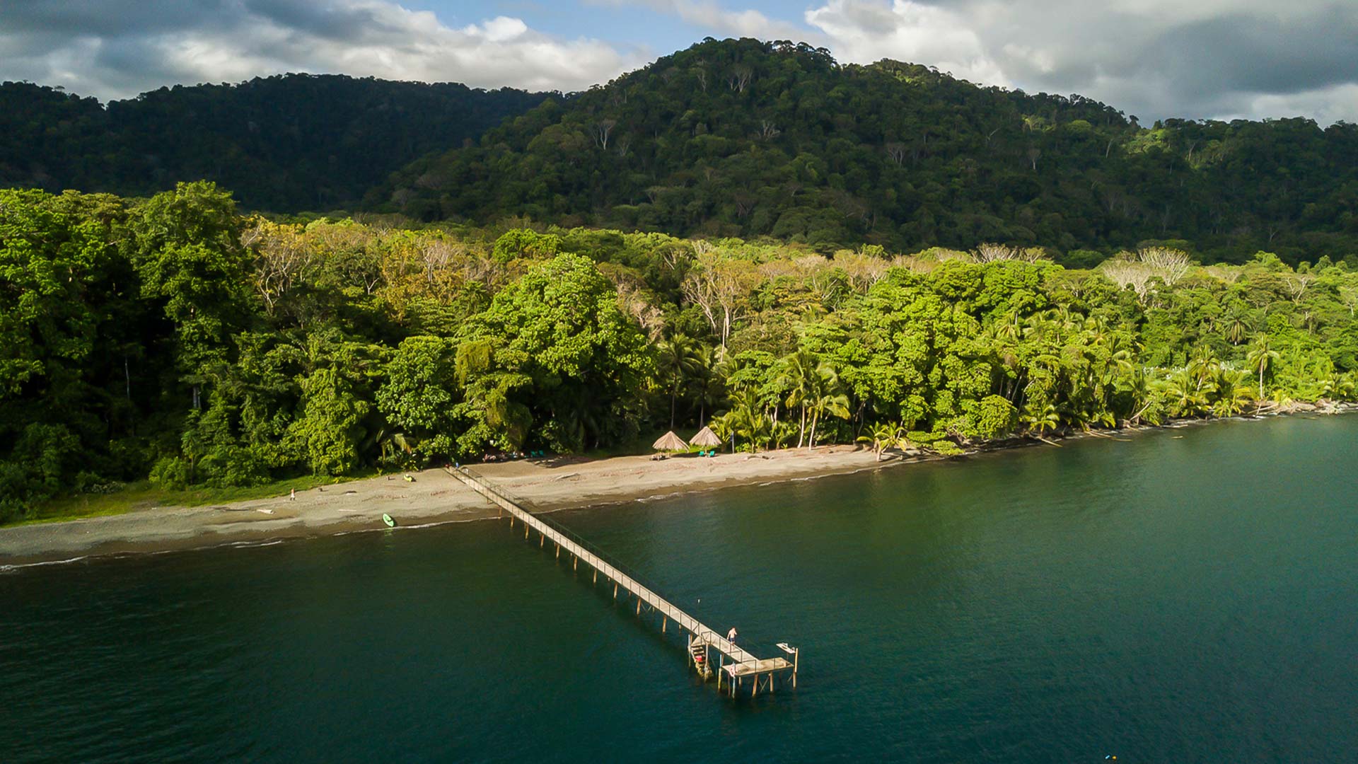 Playa Nicuesa Rainforest Lodge image 12693