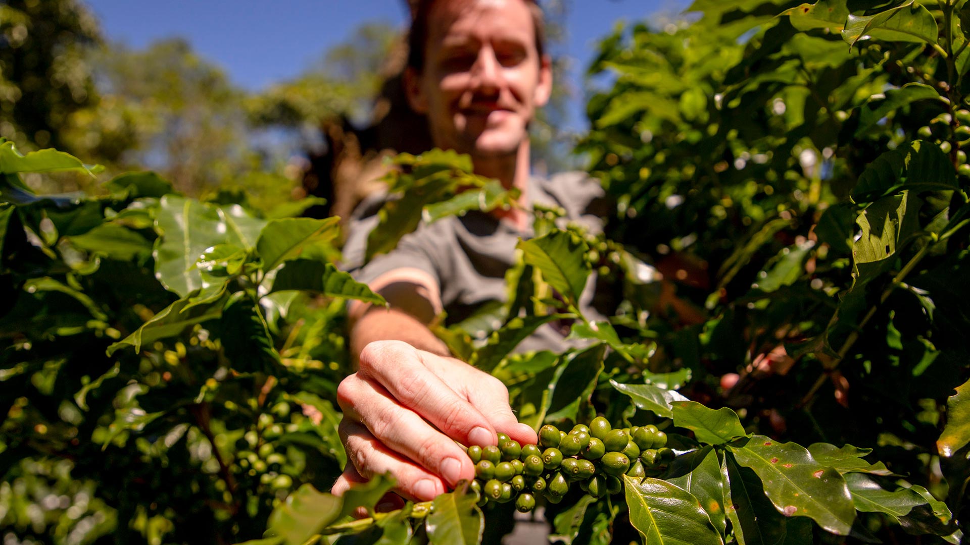 Finca Rosa Blanca image 12701
