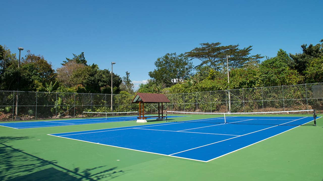 Bougainvillea Hotel image 12725