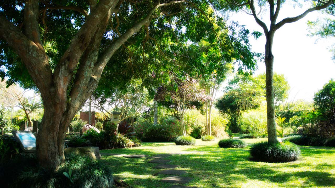 Bougainvillea Hotel image 12724