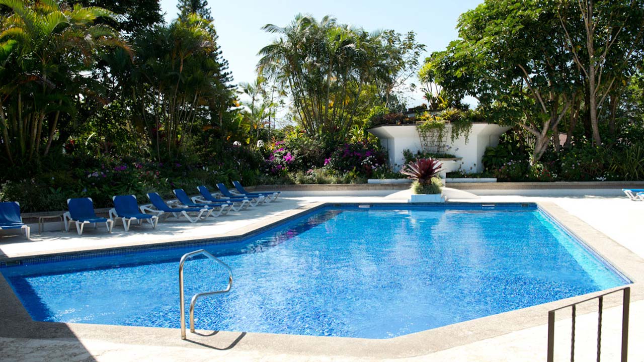 Bougainvillea Hotel image 12726