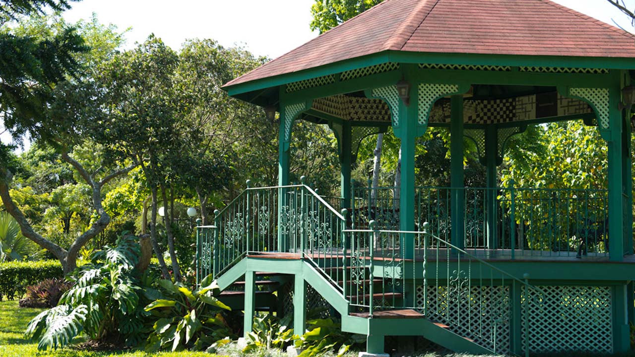 Bougainvillea Hotel image 12729