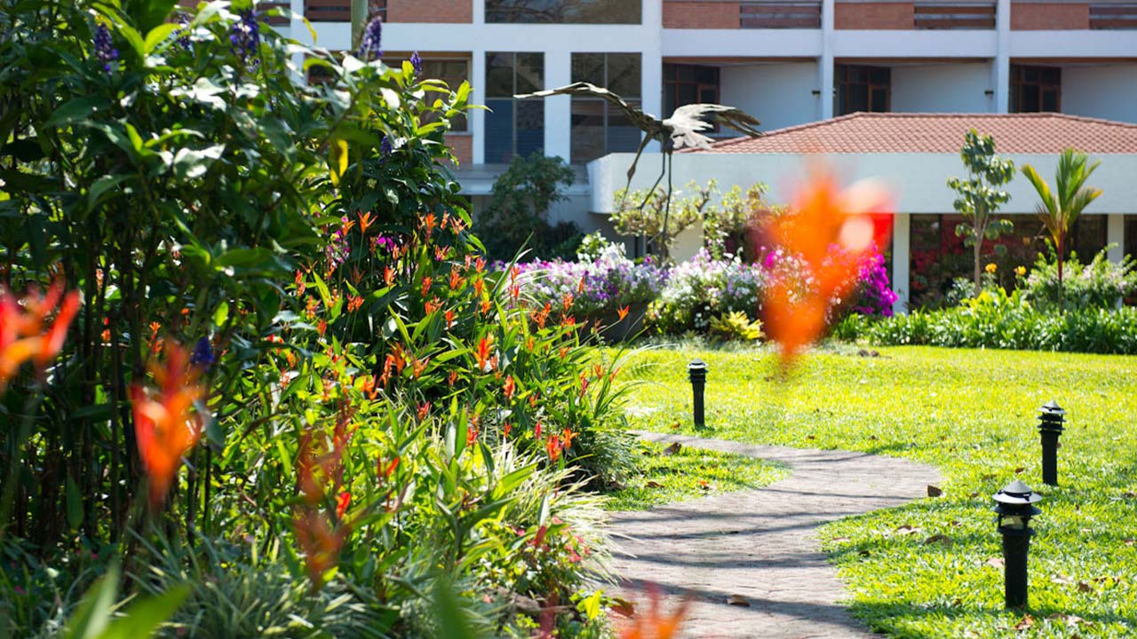 Bougainvillea Hotel image 12728
