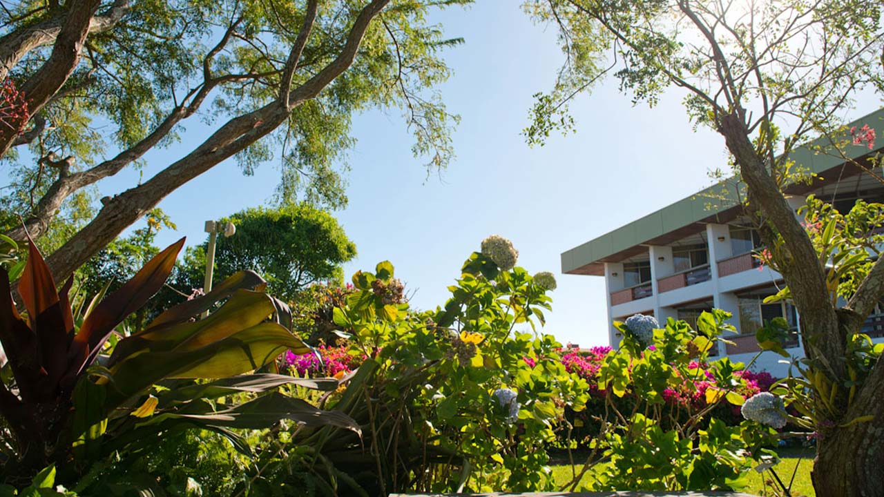 Bougainvillea Hotel image 12737