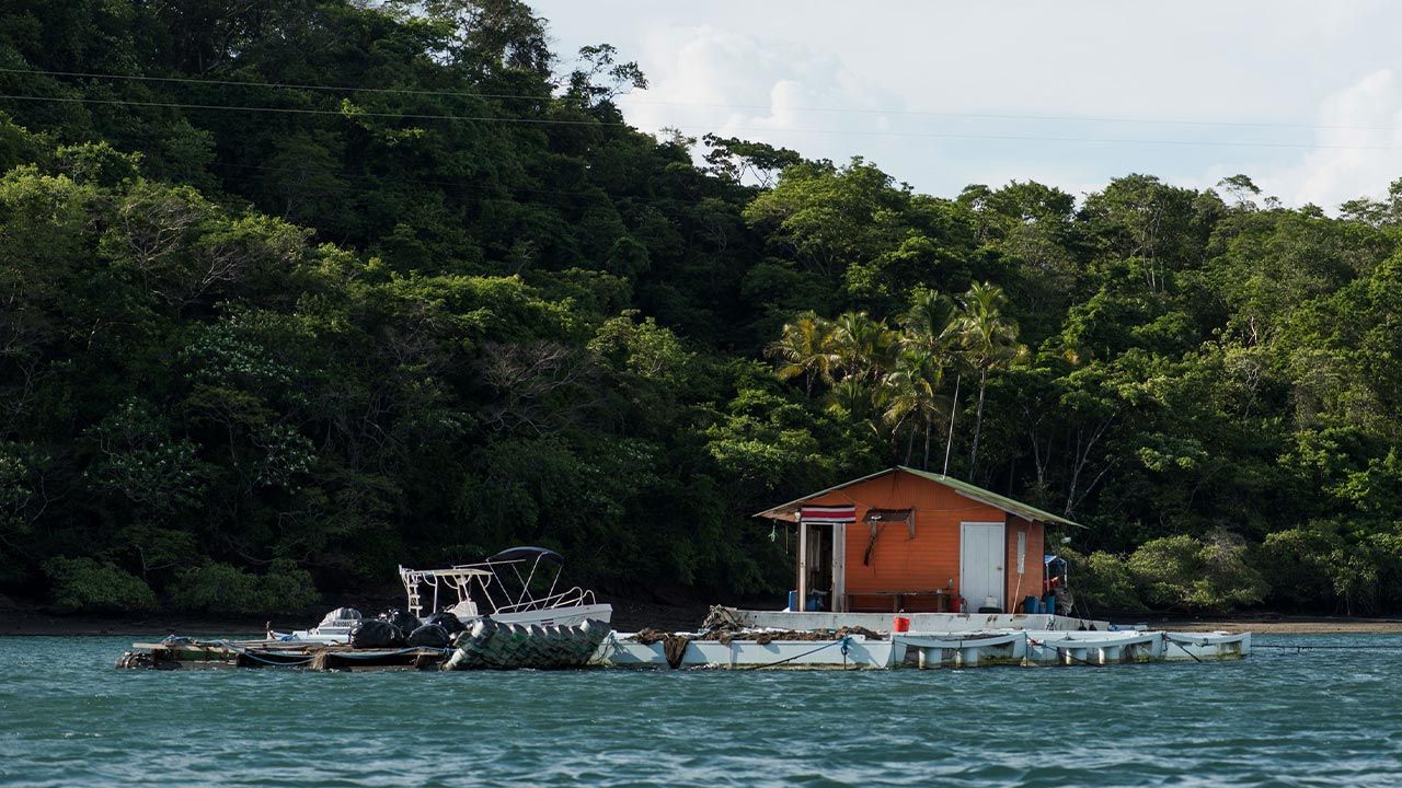 Isla Chiquita Glamping Hotel image 12745