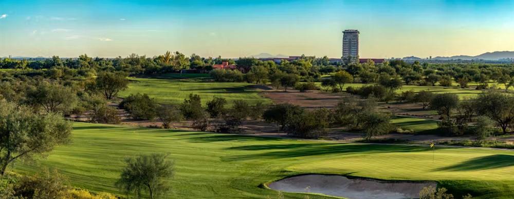 Talking Stick Stay & Play - Image 2