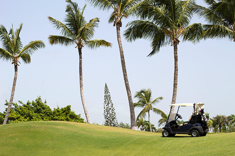 Dominican Republic - Image 2