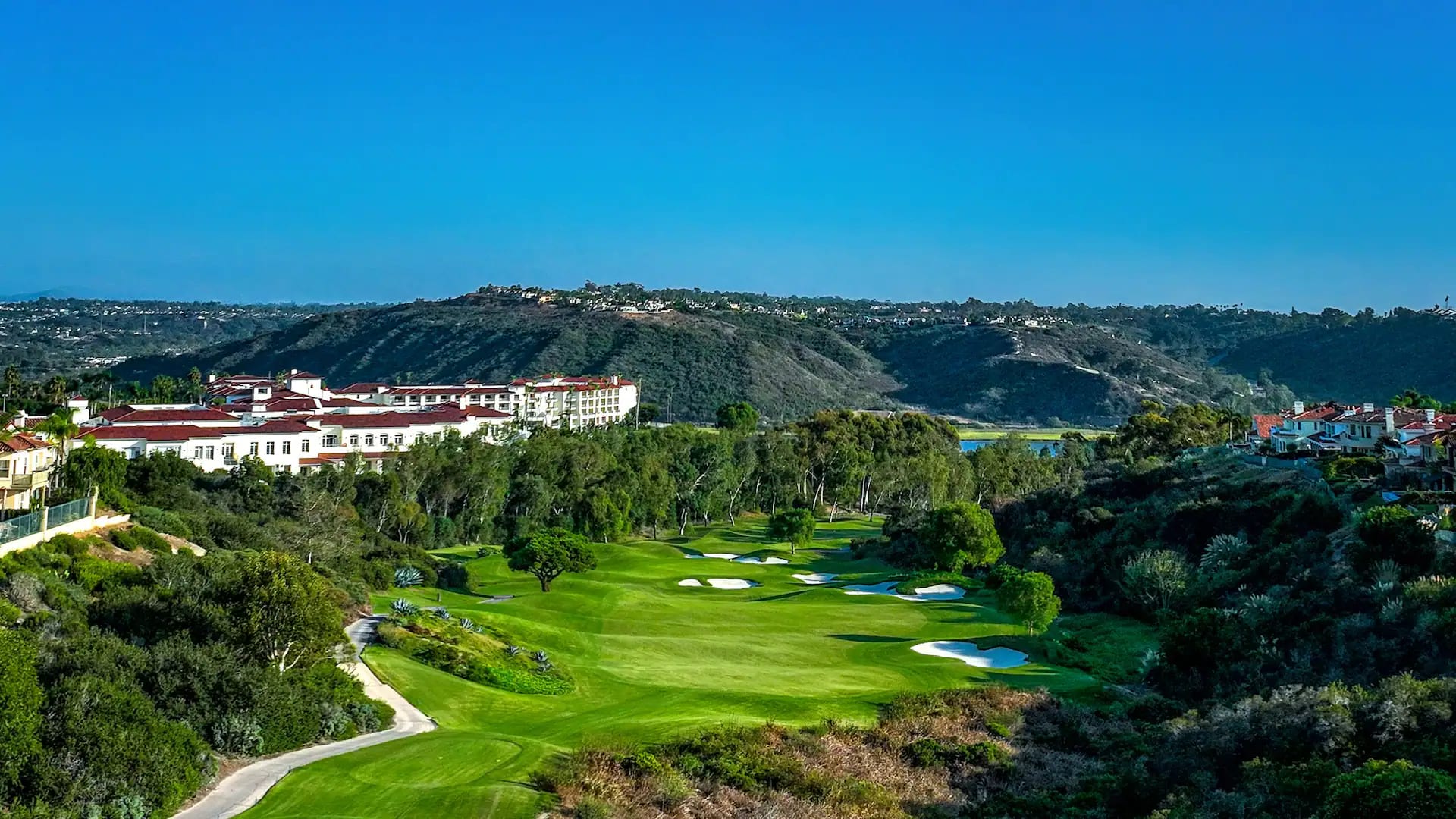 Aviara Stay & Play - Image 2