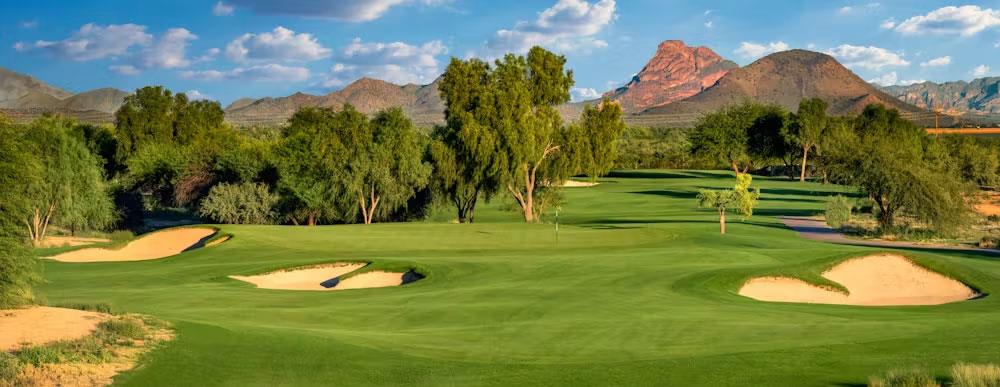 Talking Stick Stay & Play - Image 6
