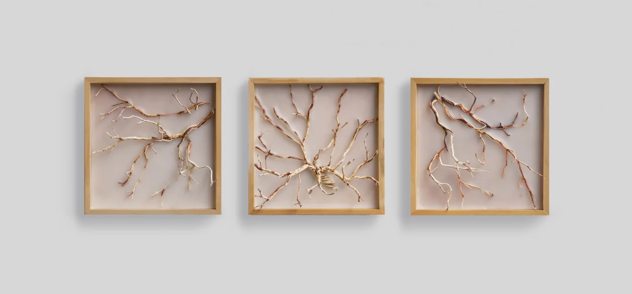 Susie Frazier Art