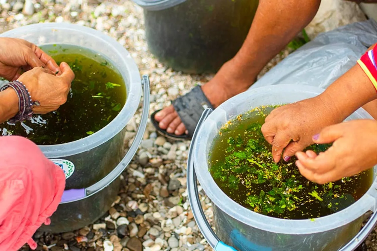 Soltara Healing Center Flower Bath Prep