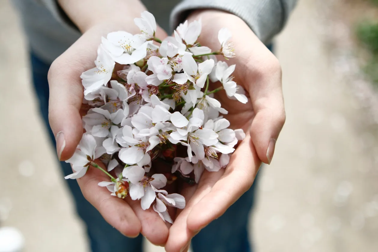 make gratitude a daily practice