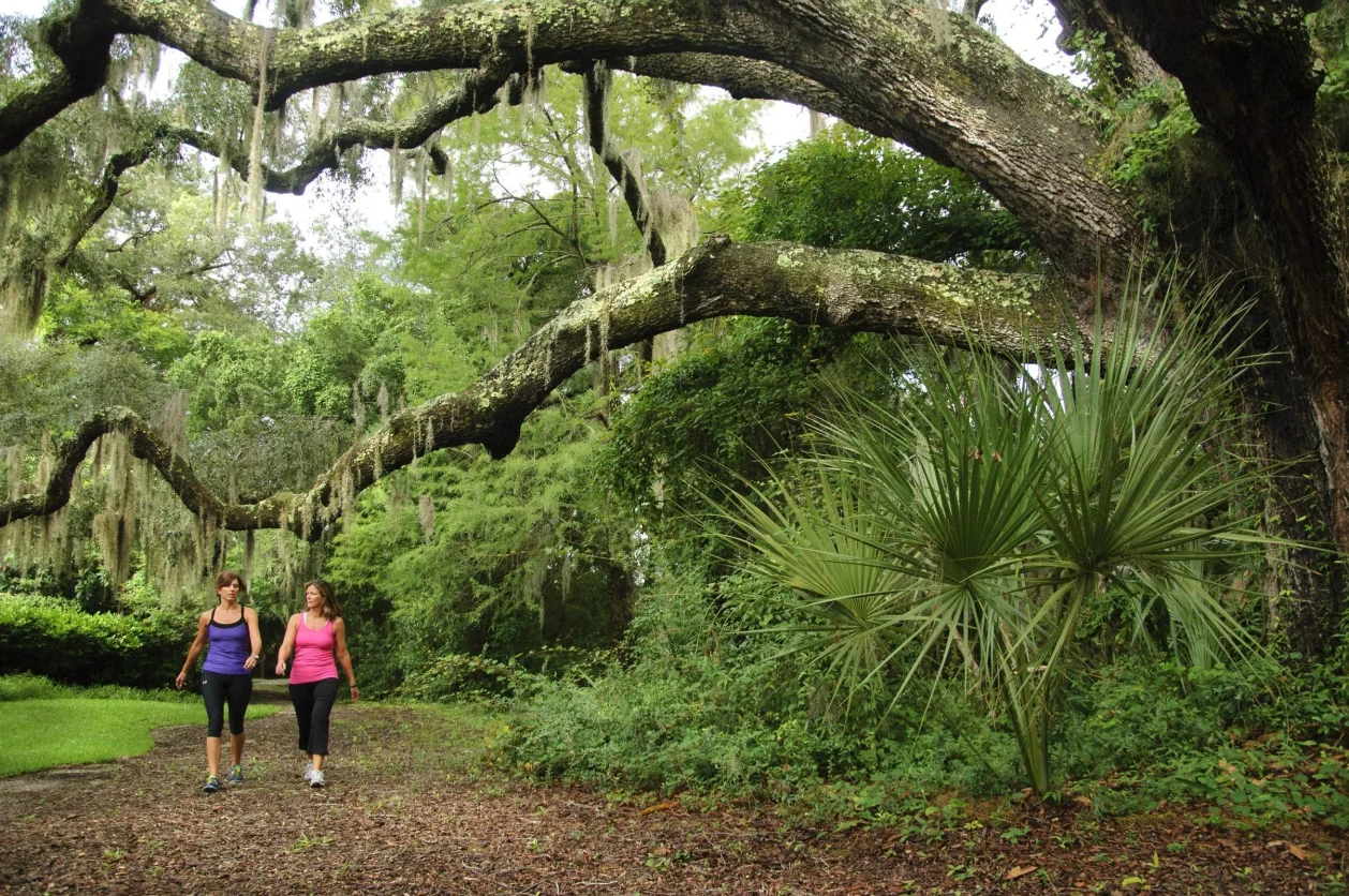 Hilton Head Health walking