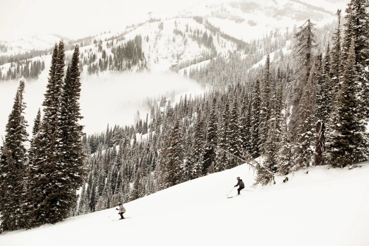 Four Seasons Jackson Hole downhill skiing