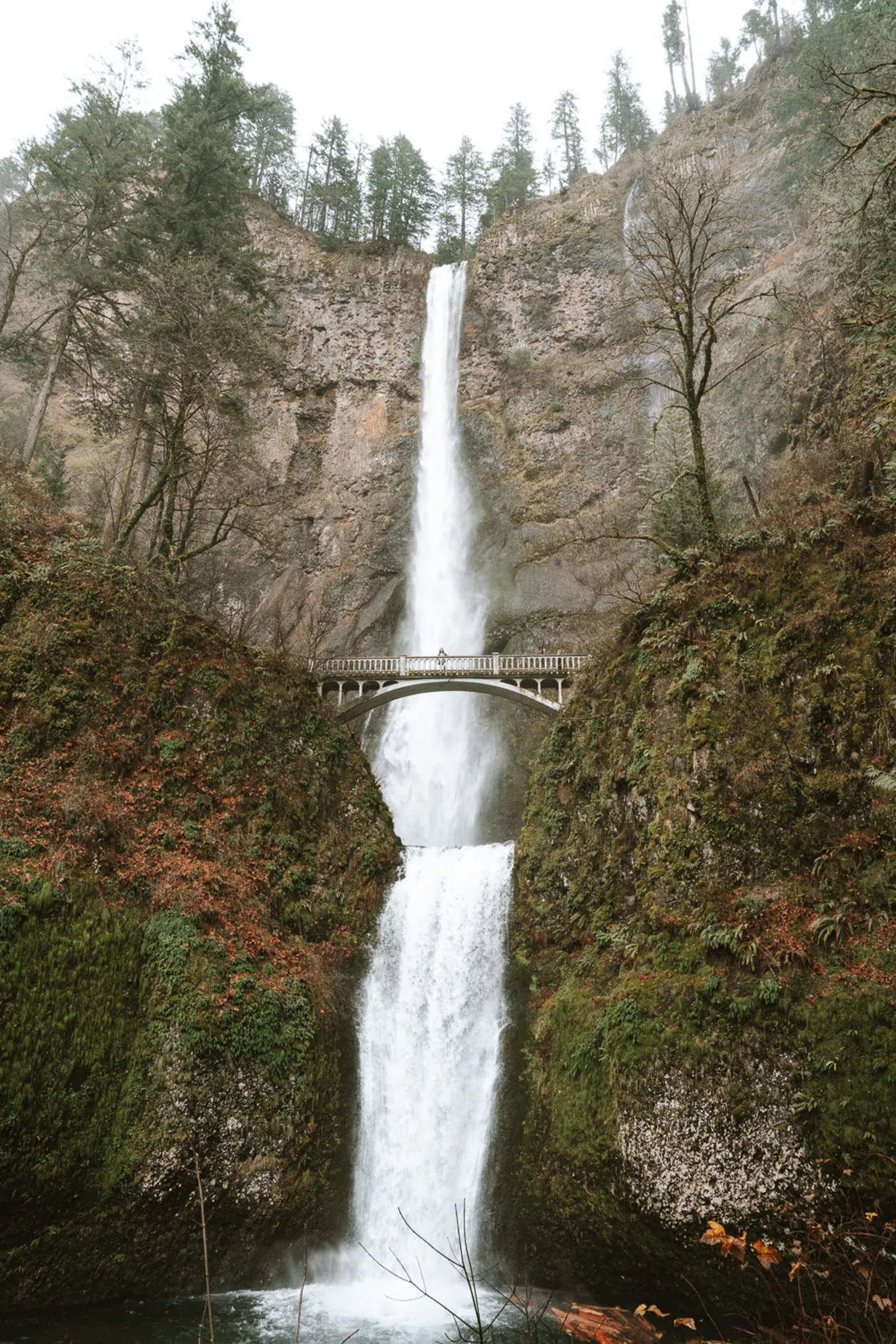 Multnomah Falls Trail