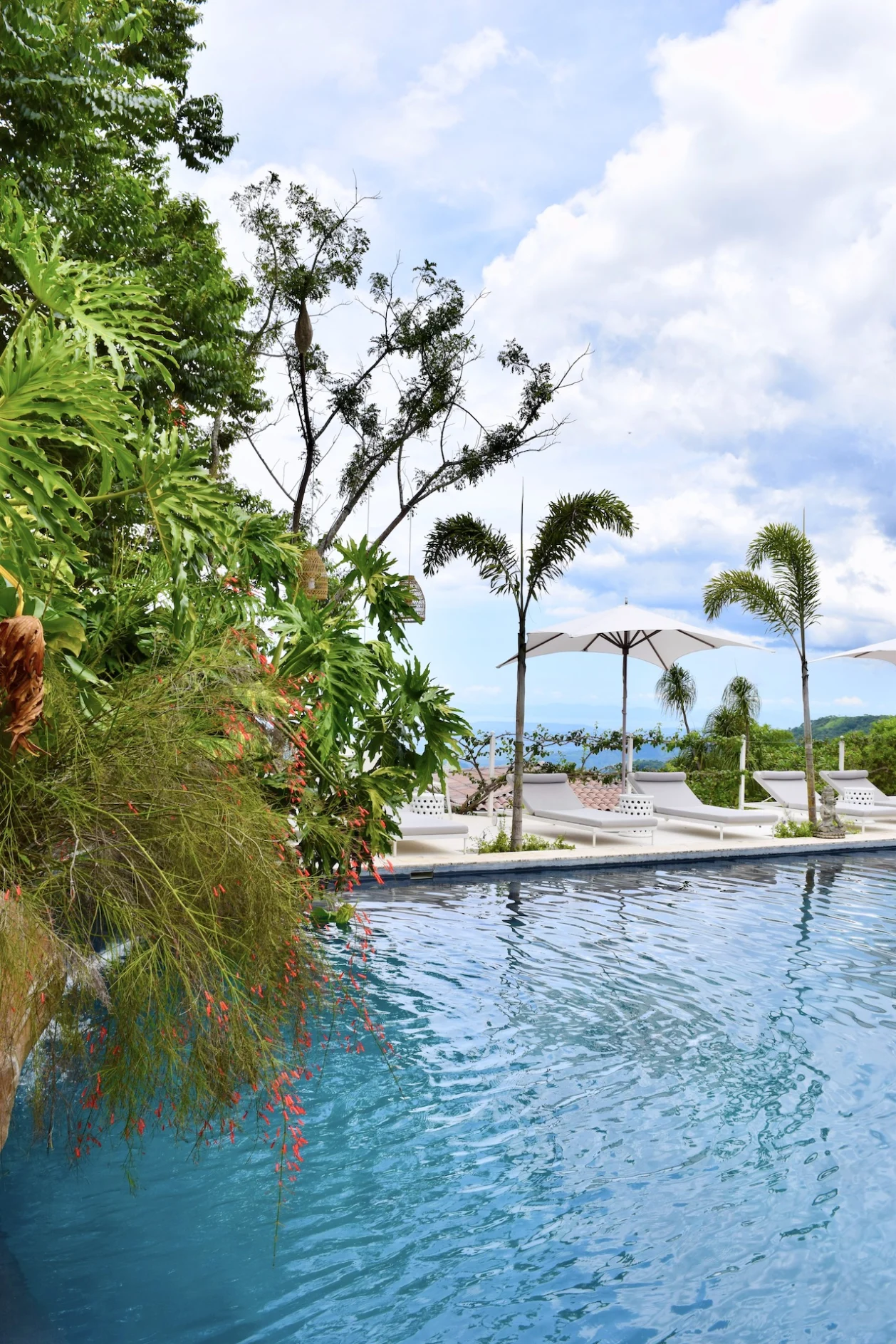 The Retreat Costa Rica pool