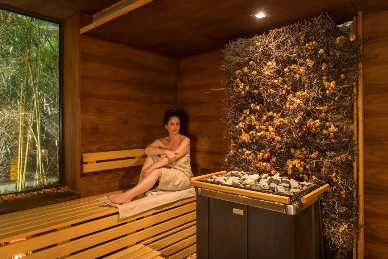 BollAnts Spa Im Park sauna