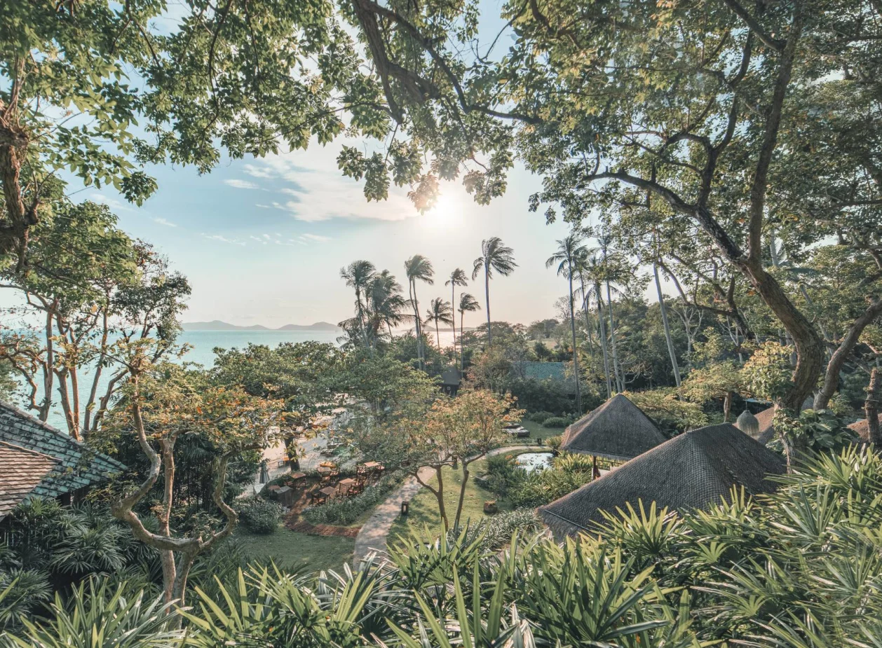 Koh Samui landscape