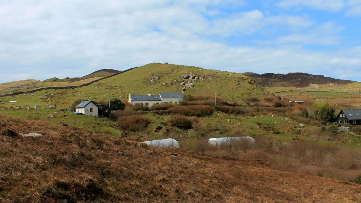 Macalla Farm