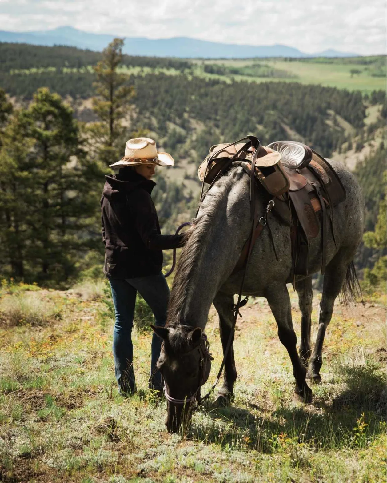 Echo Valley Ranch & Spa horses