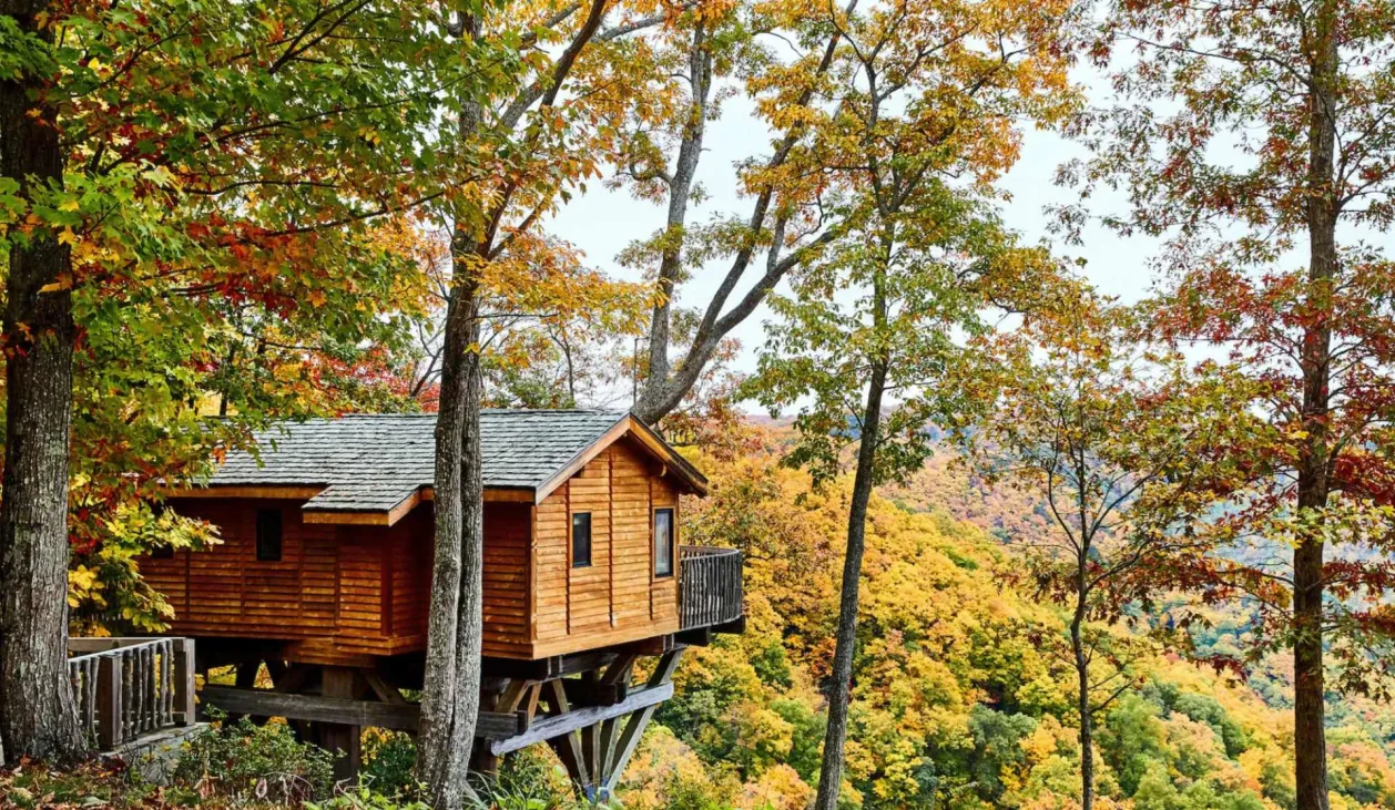 Primland Resort tree house hotel