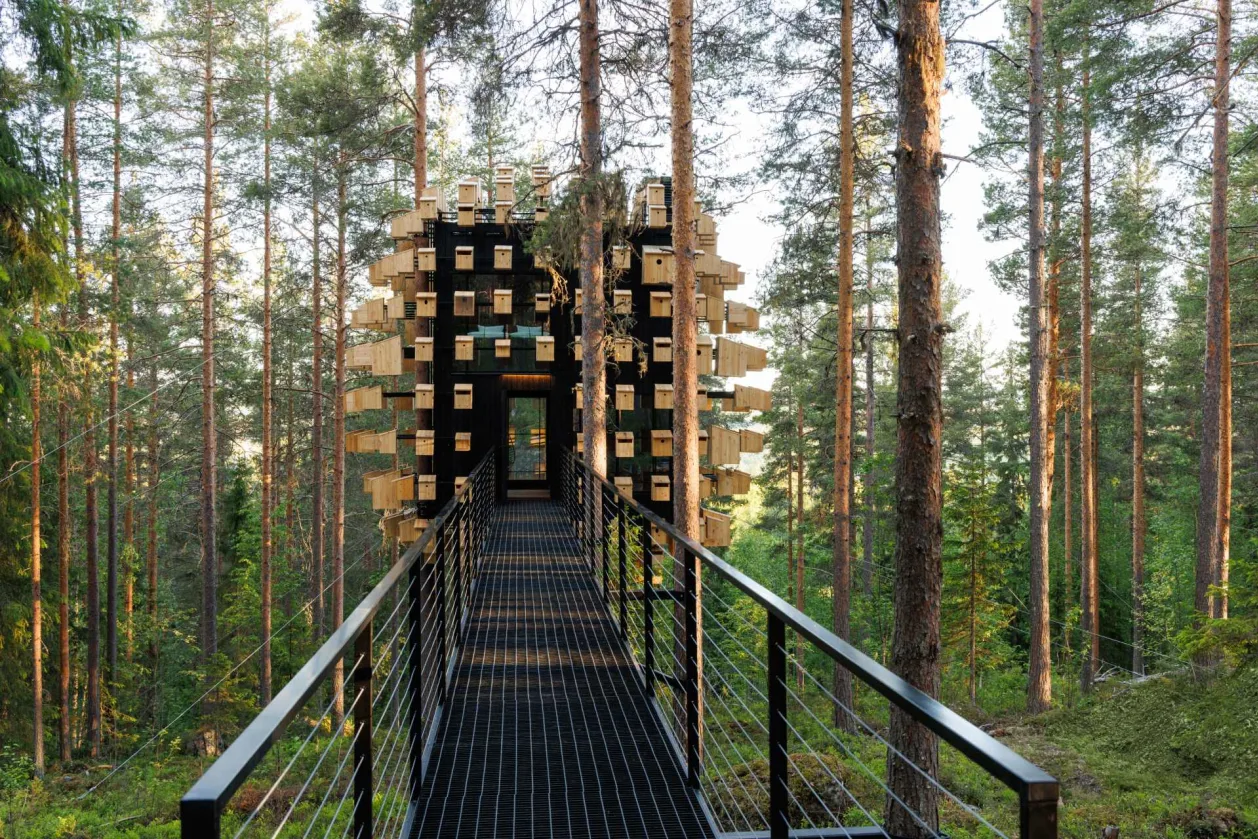 Treehotel Sweden biosphere pedestrian bridge