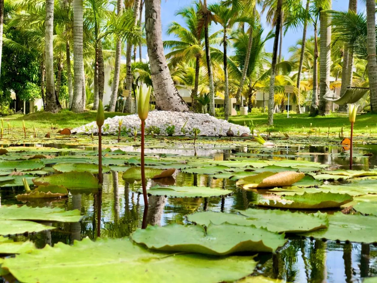Meliá Punta Cana Beach Resort dominican republic