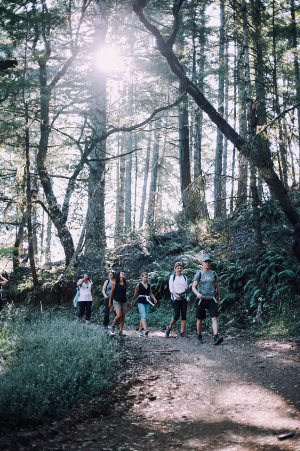 Canyon Ranch Woodside guests walking trail