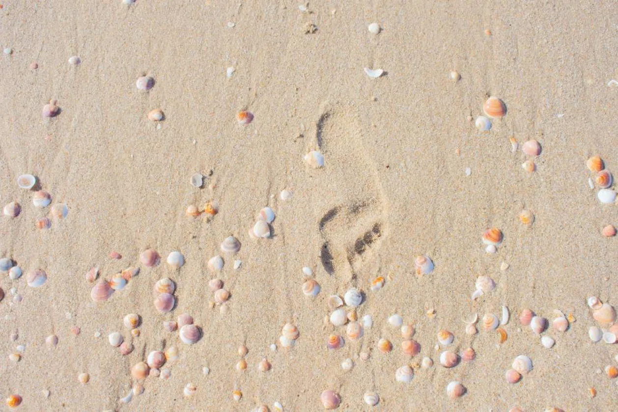 Why Eco-Friendly Travel Is the New Non-Negotiable