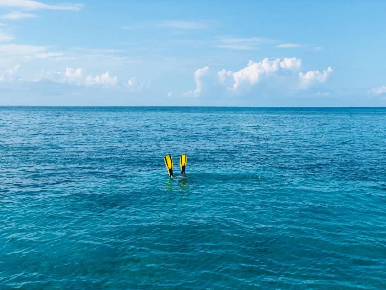Swimmer diving into ocean with yellow flippers