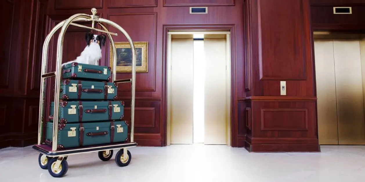 Dog on top of suitcase trolly at dog friendly hotel: Nemacolin