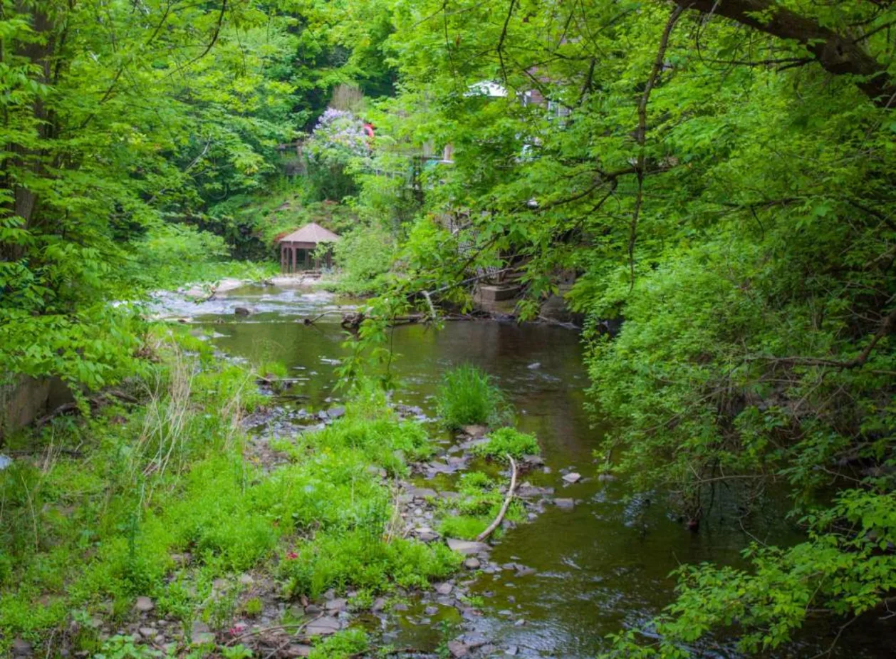 Park in Woodstock New York