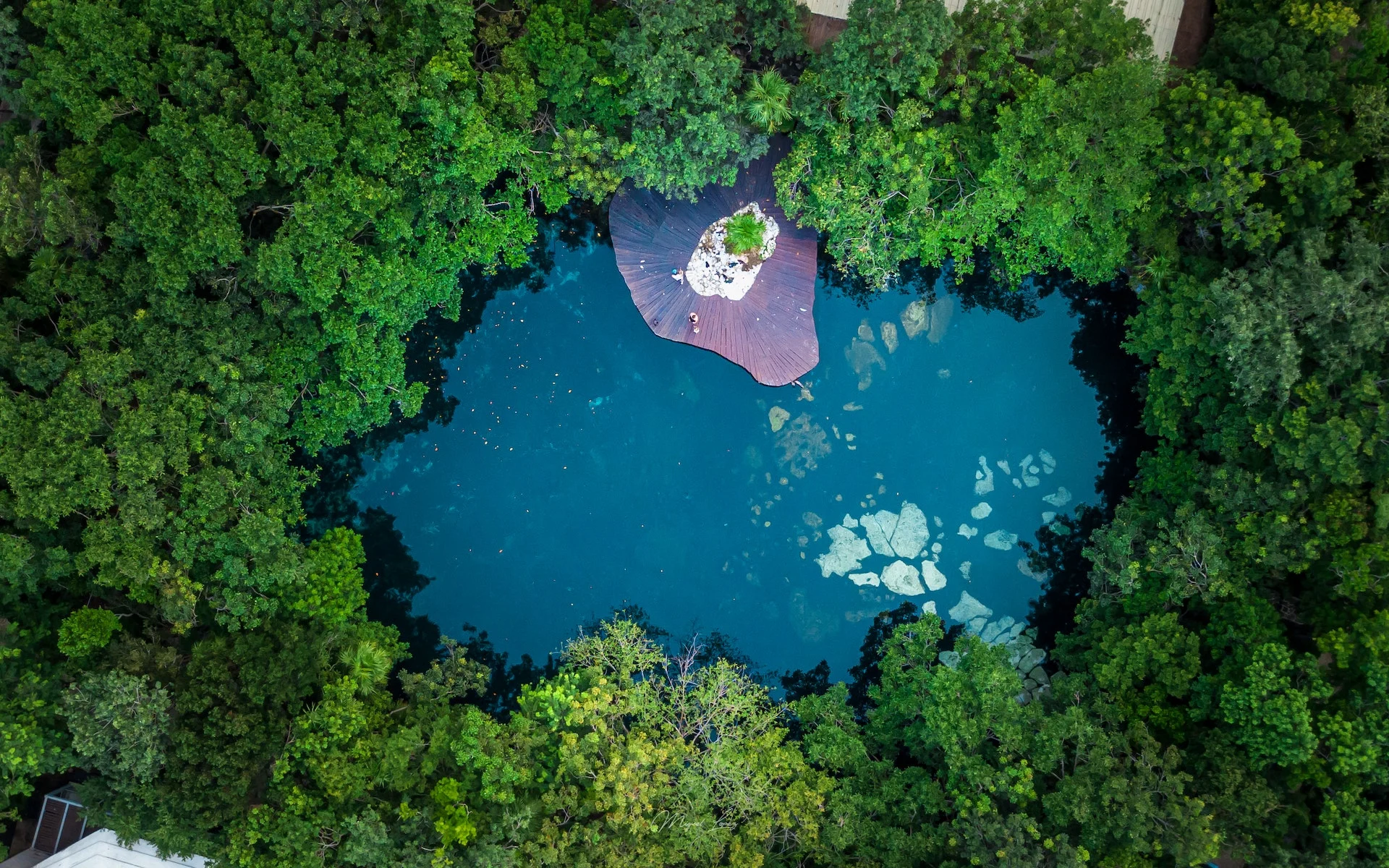 7 Mystical Cenotes in Mexico - Vacayou Travel