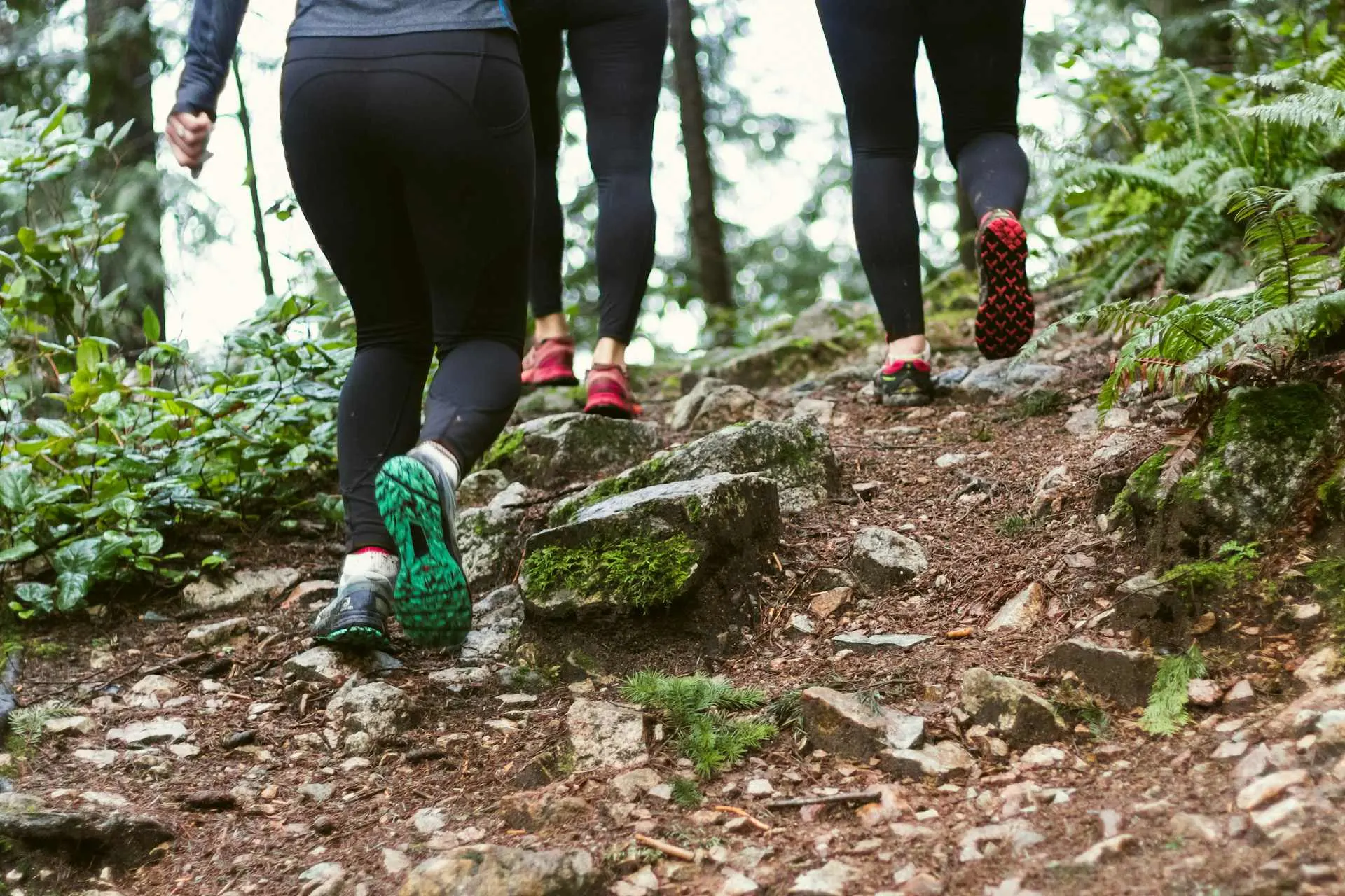 Group of athletic women in running shoes climbing a trail in the forest