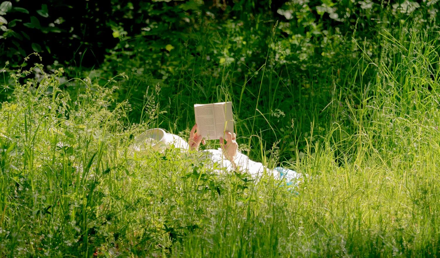 How Digital Detox Wellness Retreats Can Save Your Sanity