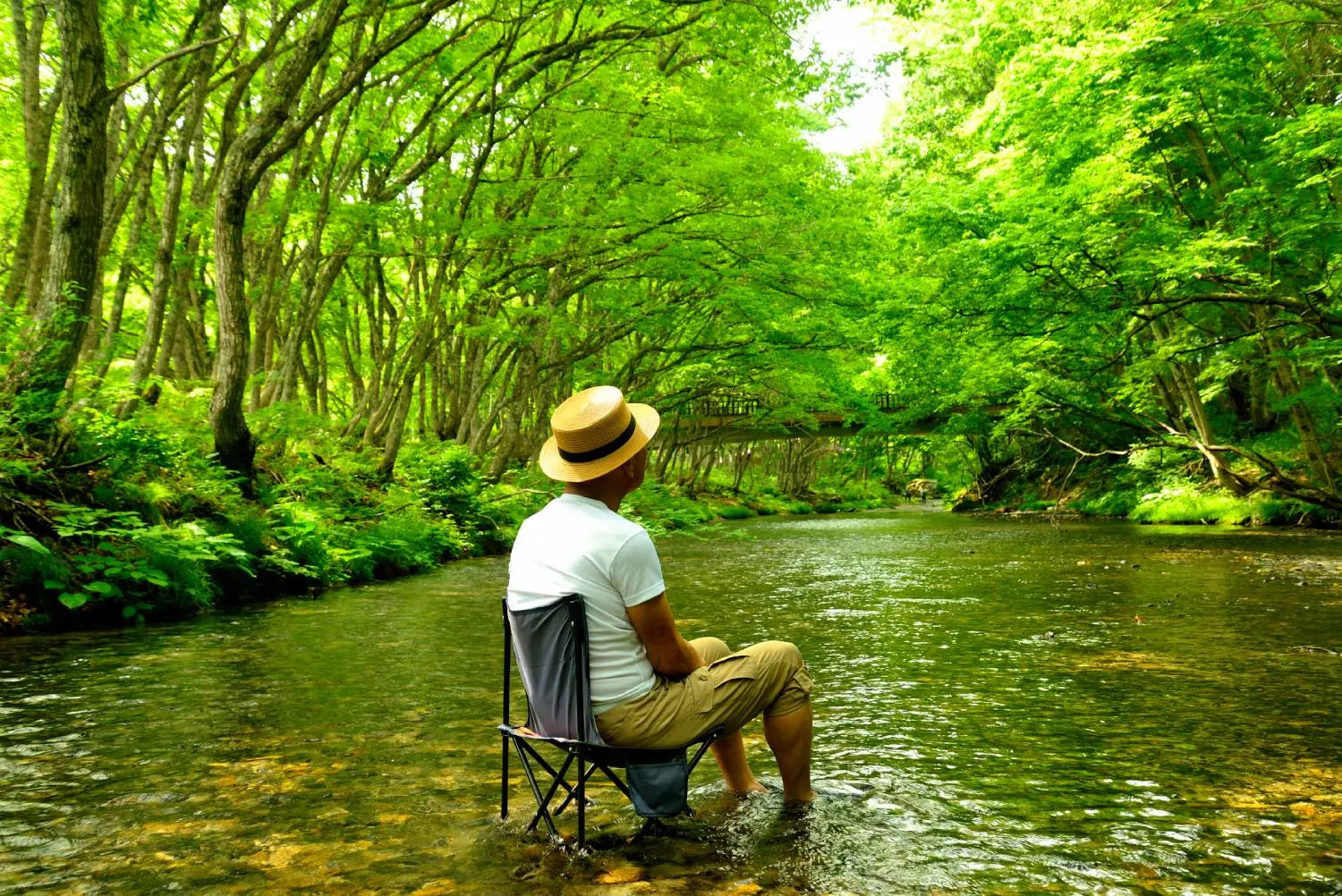 8 Reasons Wellness Travel in Japan Renews You