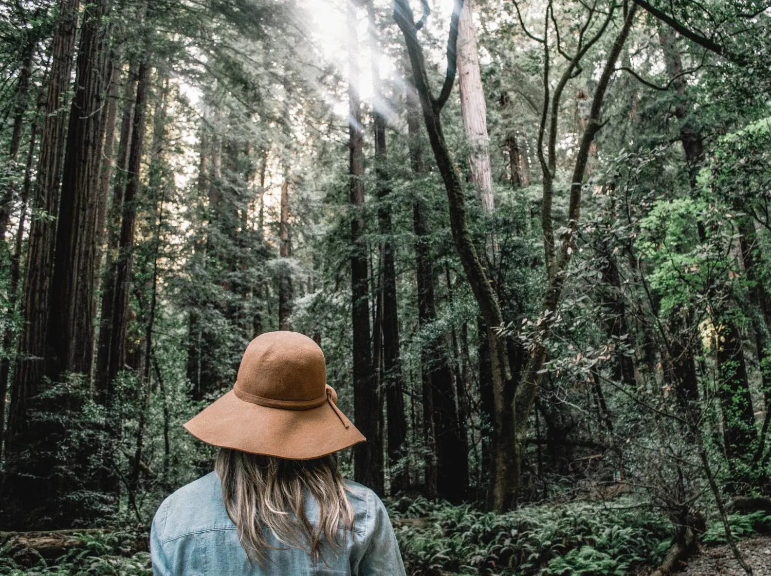 Everything You Need to Know About Forest Bathing Retreats