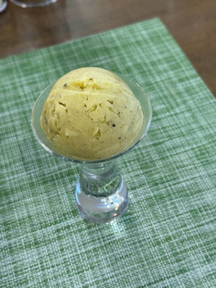 Ice cream scoop
