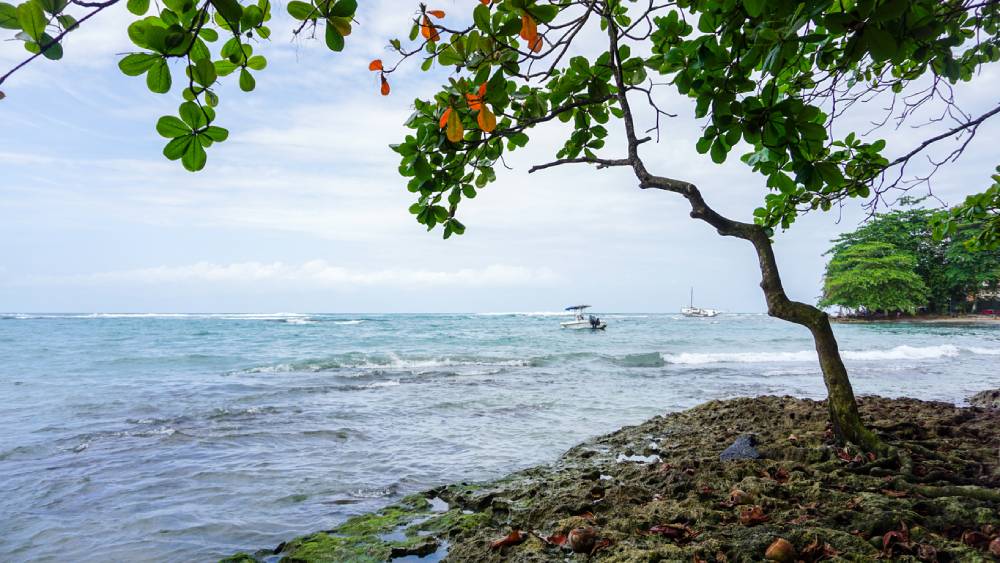 Coastline of Puerto Viejo Costa Rica