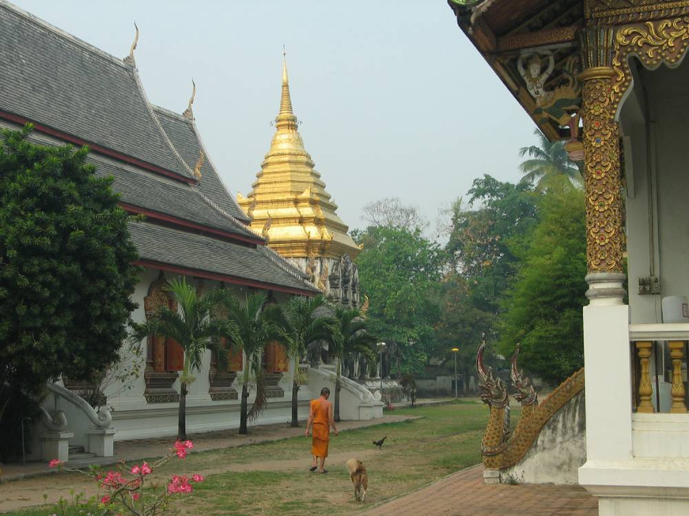 Buddhist Monk at Wat Chiang Man