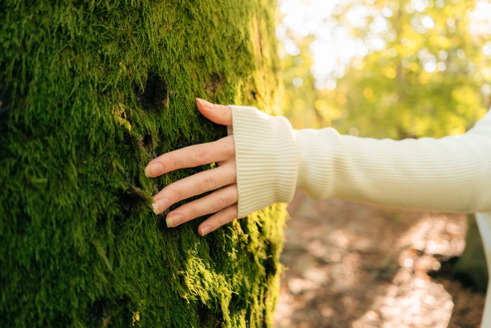Close up of woman touching moss-covered tree while forest bathing