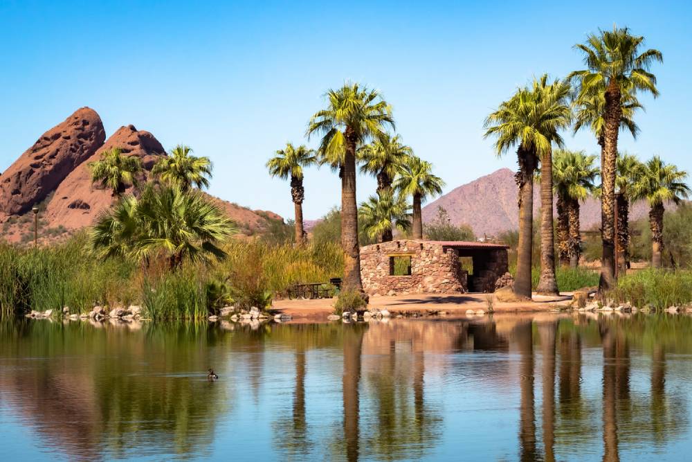 Palm tree reflection at Papago Park Phoenix