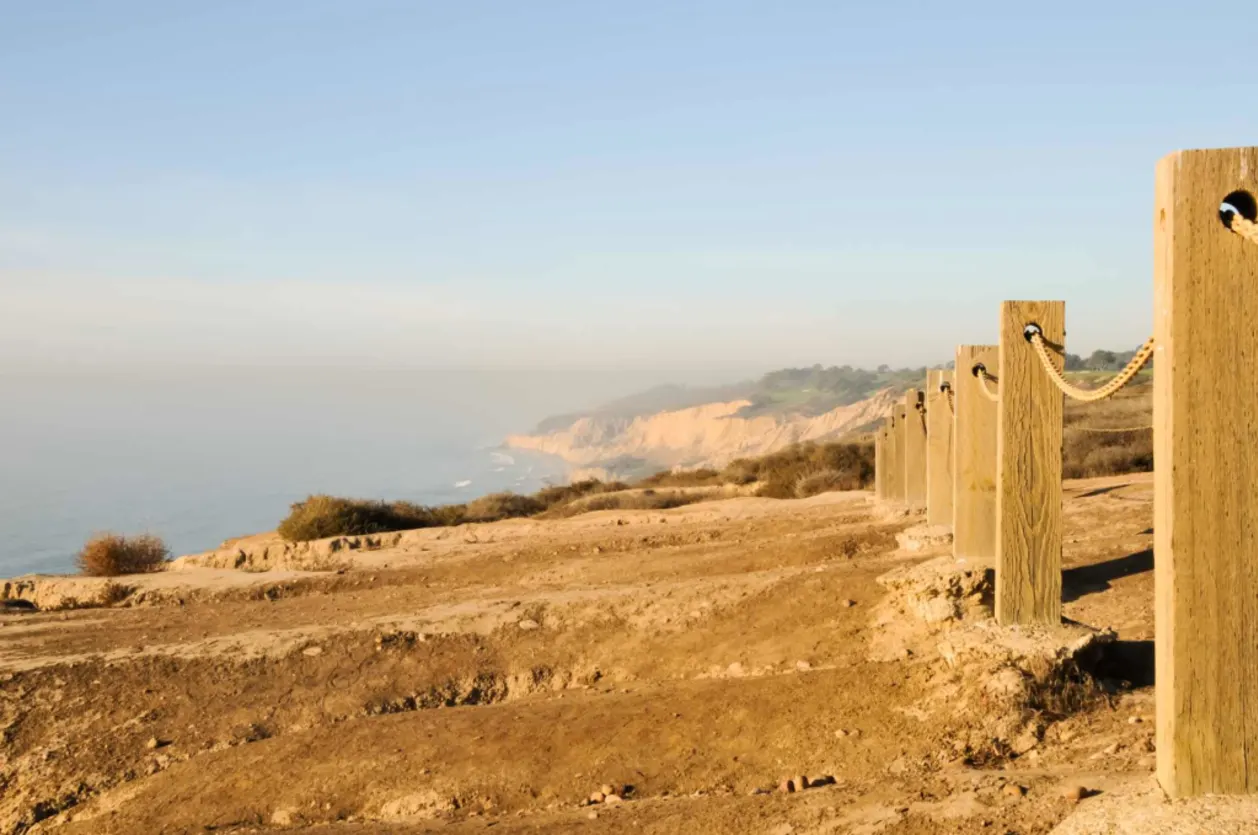 cliffs overlooking Black's Beach San Diego