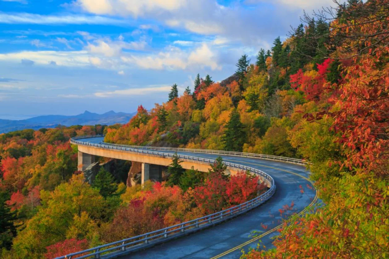 Linn Cove Viaduct on the Blue Ridge parkway in the fall season